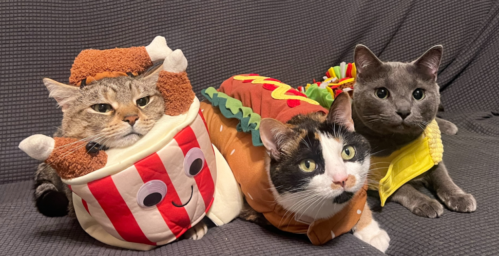 Photo of three cats in different food-themed Halloween costumes